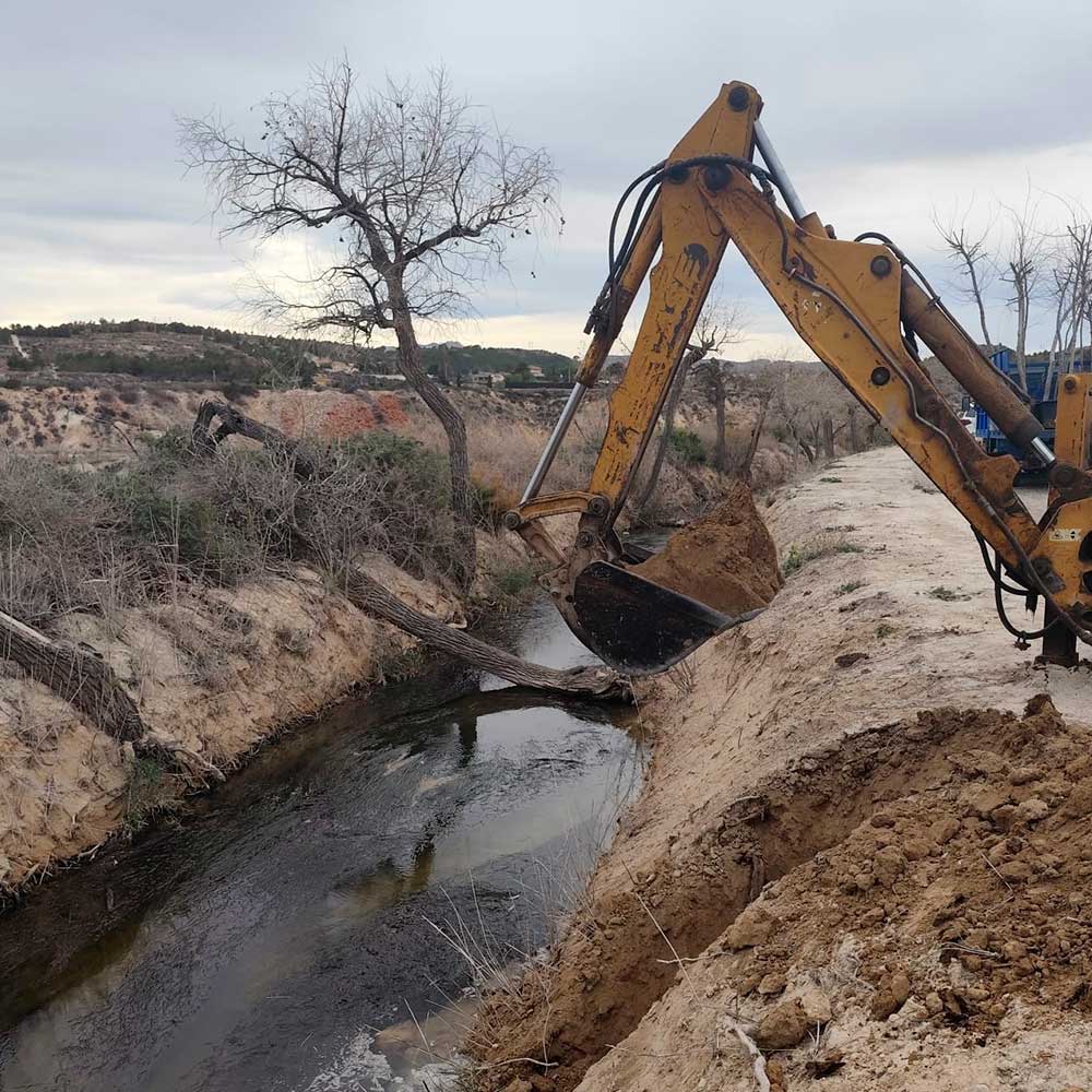 Chopo_ilicitano_acequia_mayor_elche_pantano