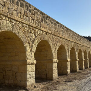 acequia_elche_pantano_elche_patrimonio_agua