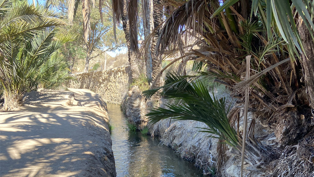 patrimonio_palmera_elche_acequia