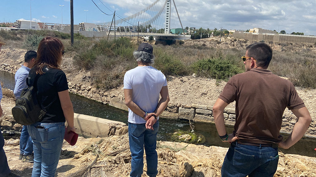 proyectos_conservación_elche_pantano