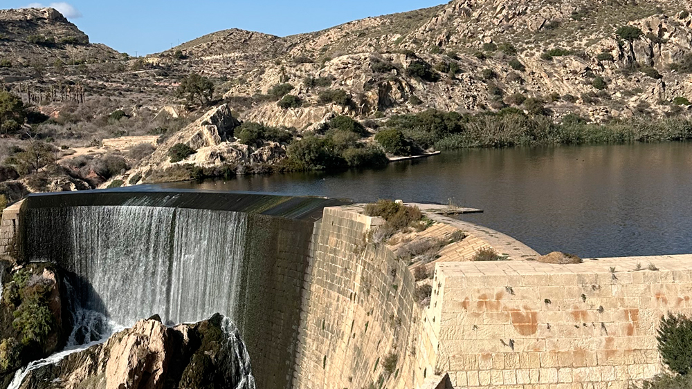 panatano_elche_acequia_mayor_patrimonio