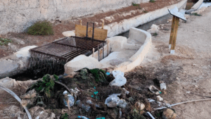 limpieza-mondas-elche