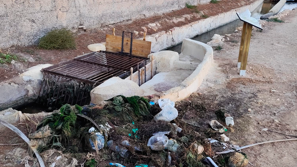 limpieza-mondas-elche