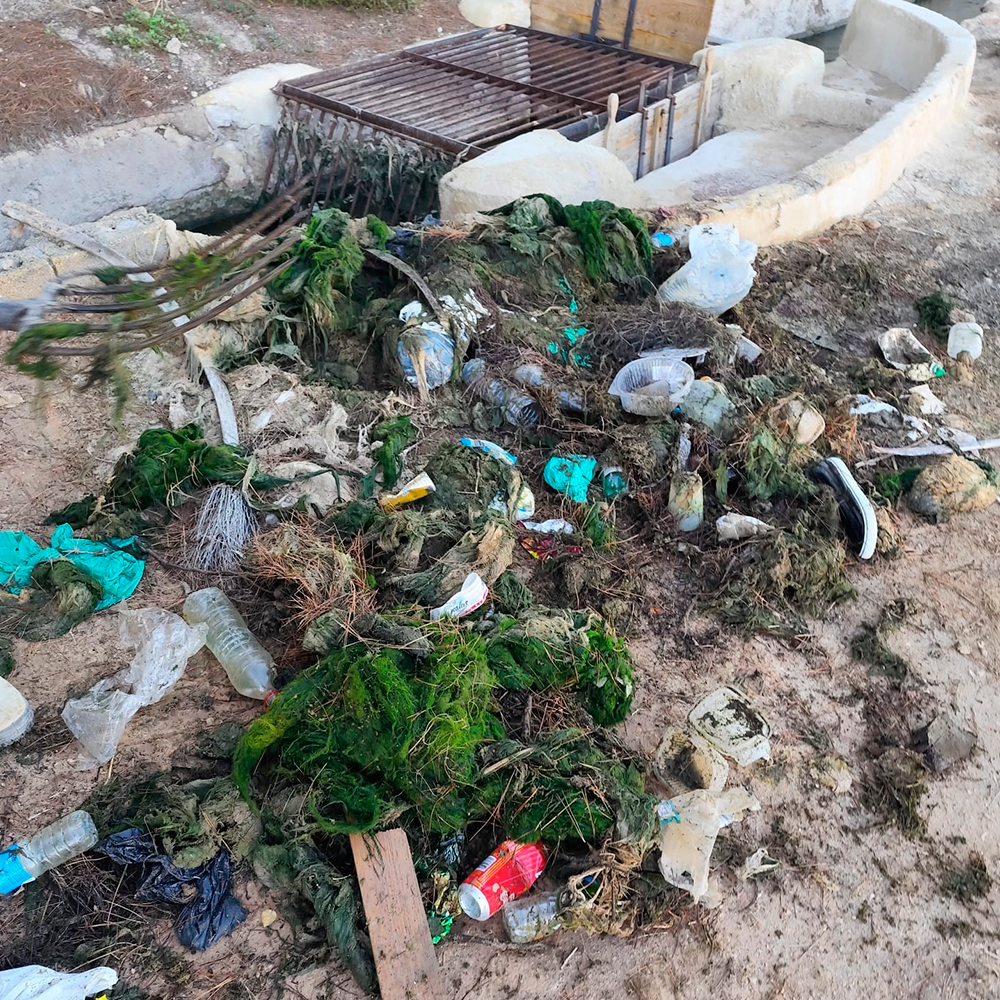 limpieza-mondas-elche