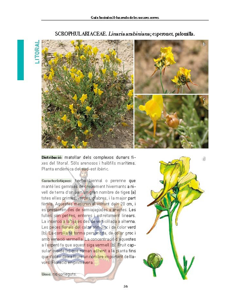 pantano-guia-botanica-libro-pantano