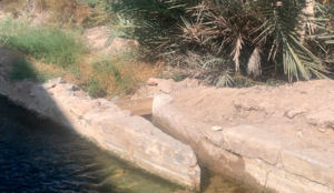 PARTIDOR-DE-MARCHENA-