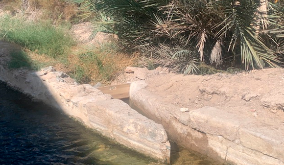 PARTIDOR-DE-MARCHENA-